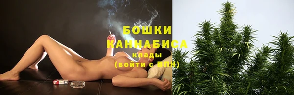 гашик Майский