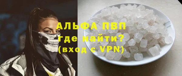 гашик Майский