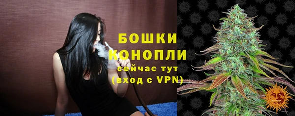 гашик Майский