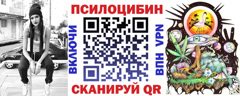 где можно купить наркотик Чекалин blacksprut маркетплейс Псилоцибиновые грибы Psilocybe